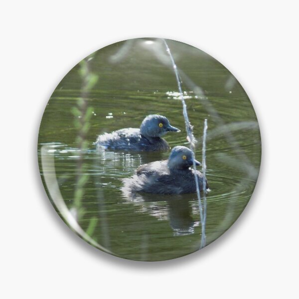 Item preview, A pair of Least Grebes (Tachybaptus dominicus) designed and sold by Inuyasha907.