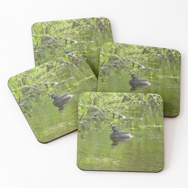 Item preview, Single Least Grebe (Tachybaptus dominicus) designed and sold by Inuyasha907.