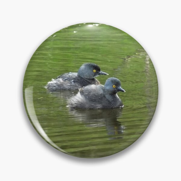 Item preview, Least Grebe (Tachybaptus dominicus) Pair designed and sold by Inuyasha907.