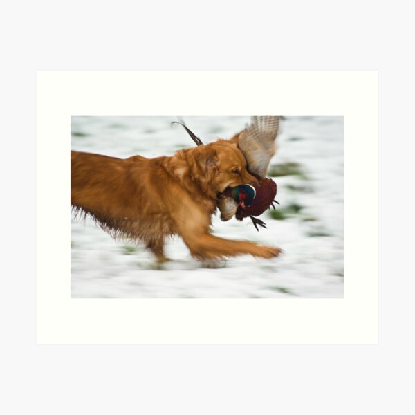 Item preview, Retrieving designed and sold by Country  Pursuits.