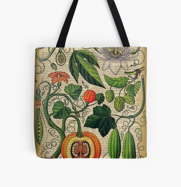 Artikel-Vorschau von Botanischer Druck, auf alter Buchseite - Gartengemüse, Kürbis, designt und verkauft von Art by Lilia.