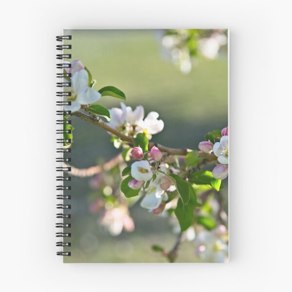 Item preview, Flowering Crabapple designed and sold by Lori Funk.