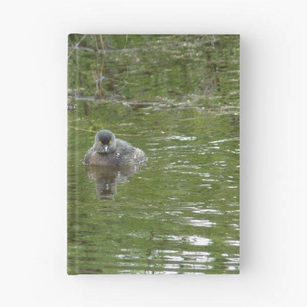 Item preview, Least Grebe (Tachybaptus dominicus) Pair Swimming Along designed and sold by Inuyasha907.