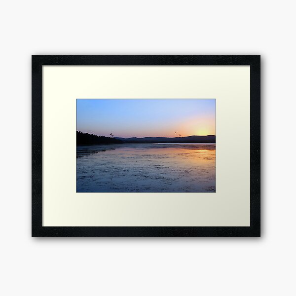 4 Ducks and a Sunset Framed Art Print