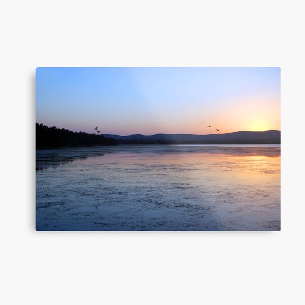 4 Ducks and a Sunset Metal Print