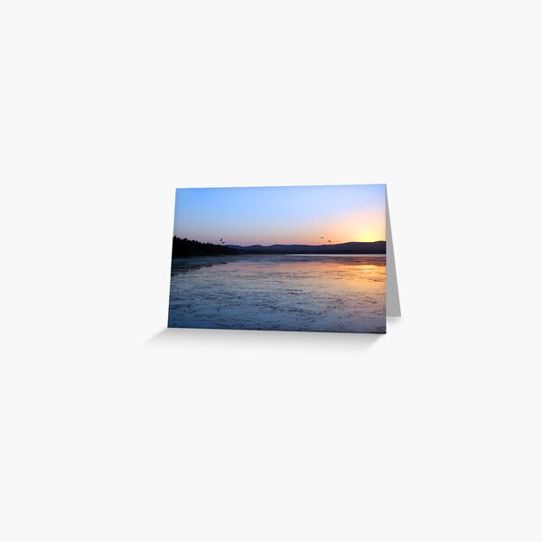 4 Ducks and a Sunset Greeting Card