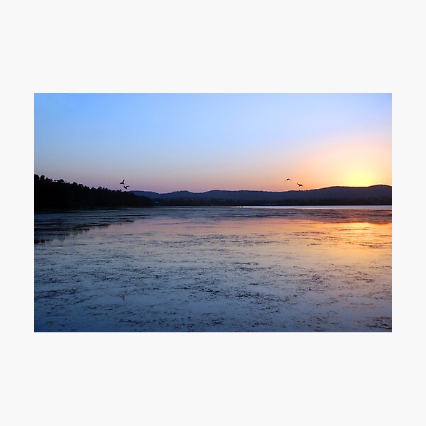 4 Ducks and a Sunset Photographic Print