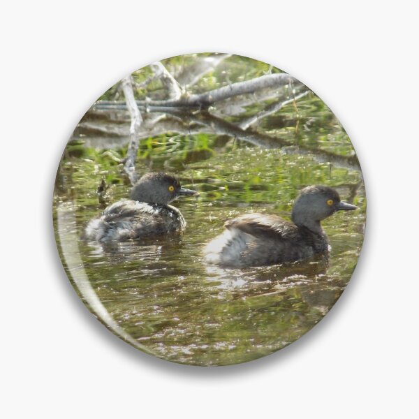 Item preview, A Pair of Least Grebe (Tachybaptus dominicus) Making Ripples designed and sold by Inuyasha907.