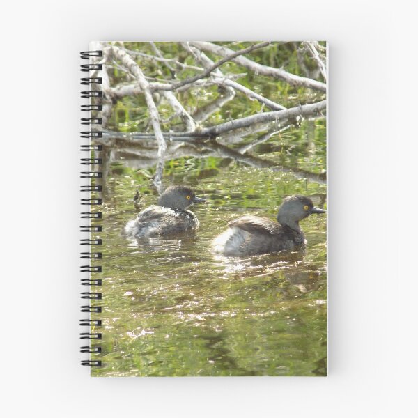 Item preview, A Pair of Least Grebe (Tachybaptus dominicus) Making Ripples  designed and sold by Inuyasha907.