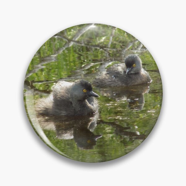 Item preview, Least Grebe (Tachybaptus dominicus) Pair Looking at Each Other designed and sold by Inuyasha907.