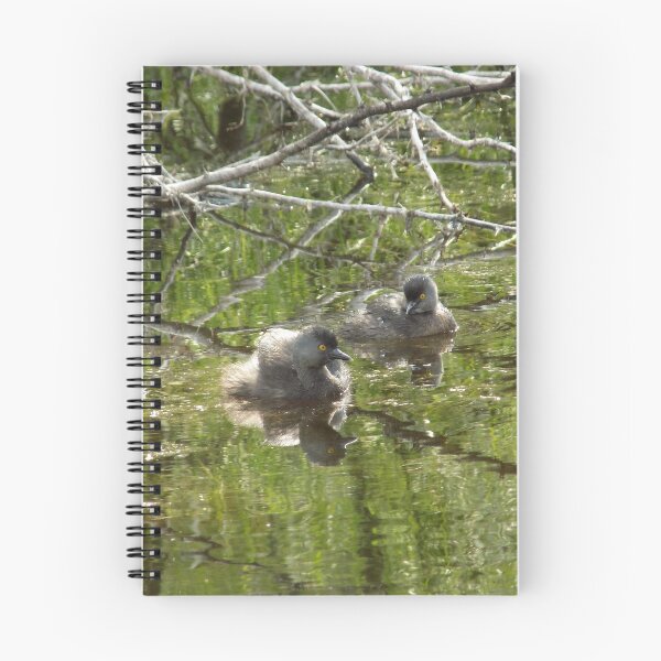 Item preview, Least Grebe (Tachybaptus dominicus) Pair Looking at Each Other designed and sold by Inuyasha907.