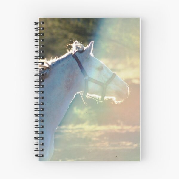 Item preview, SPLIT SECOND -  "SPIRIT" designed and sold by Magriet Meintjes.