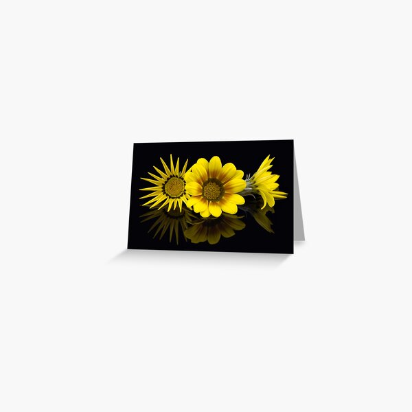 Gazania Glory Greeting Card