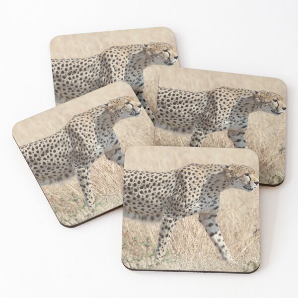 Item preview, Stepping Out designed and sold by Carole-Anne.