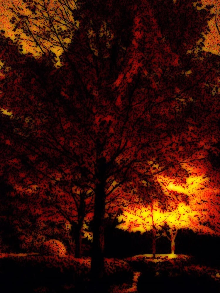 Thumbnail 5 of 5, iPhone Case, Fire Behind You, Look designed and sold by Andy Rhodes Art.