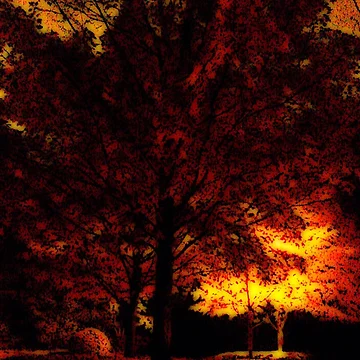 Artwork thumbnail, Fire Behind You, Look by Andy Rhodes Art