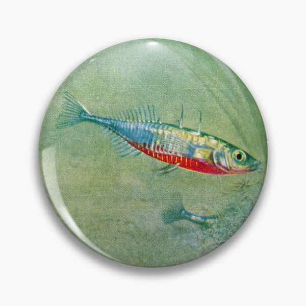 Item preview, Three-spined stickleback designed and sold by elsonco.