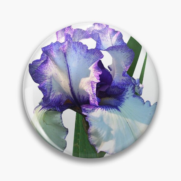 Item preview, Iris 'freedom Song' On White designed and sold by rvjames.