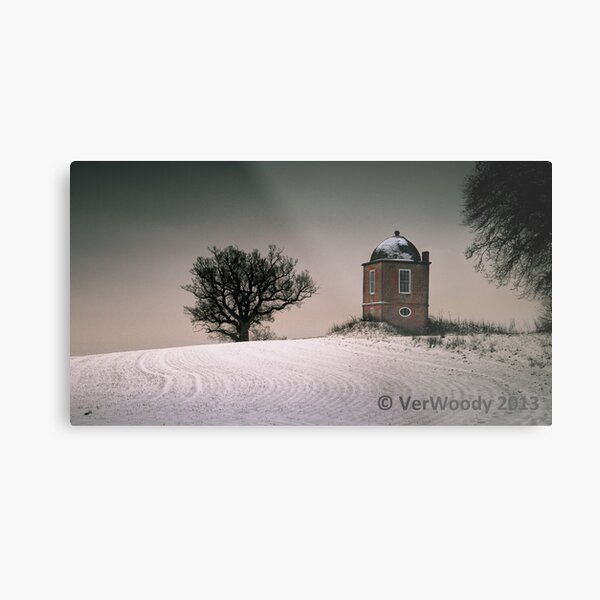 Lodge Copse Metal Print