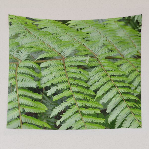 Item preview, Lively Fern Leaves - Nature designed and sold by joejiing.