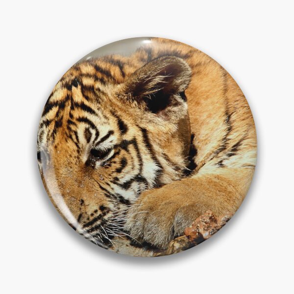 Item preview, Bengal Tiger Cub Playing designed and sold by Carole-Anne.