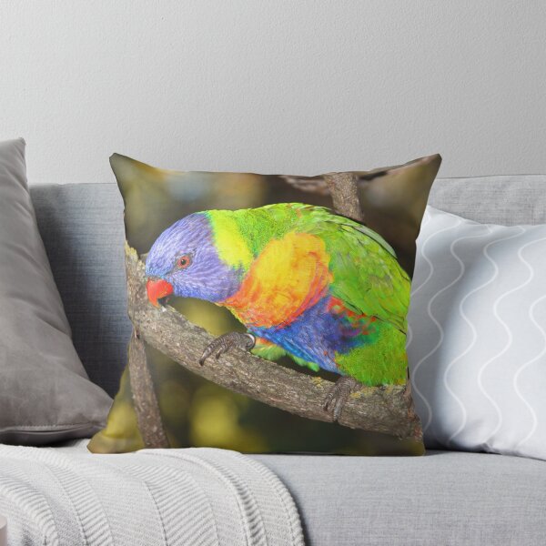 Item preview, Ready For Take-off designed and sold by Carole-Anne.