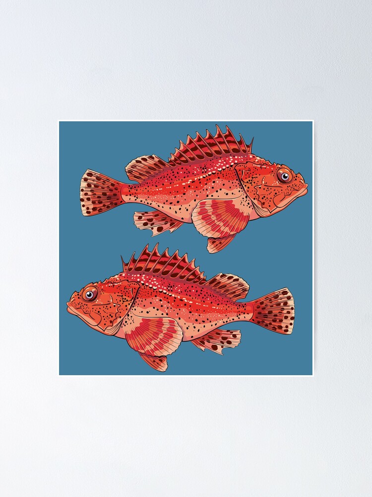 Ugly But Tasty Grouper Grouper Classic T-Shirt | Redbubble