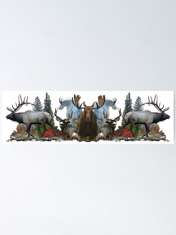 North American Wildlife Poster