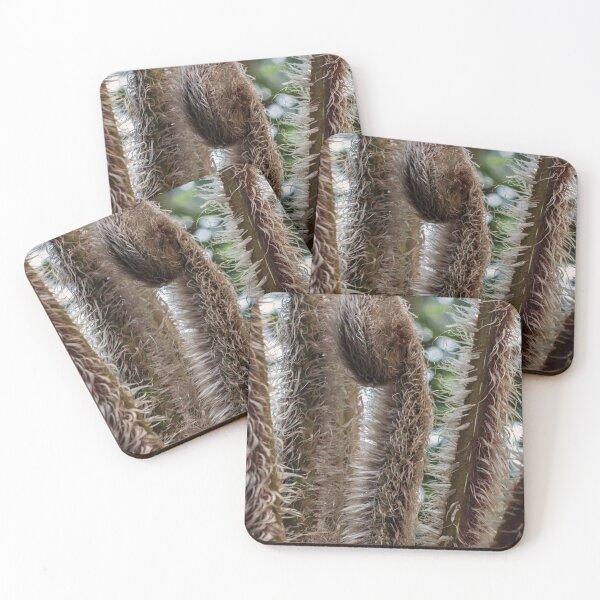 Item preview, Fern designed and sold by bunlinked.