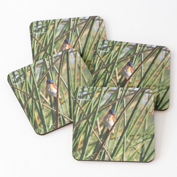 Item preview, Bismarck kingfisher in the reeds designed and sold by EstelleRossetti.
