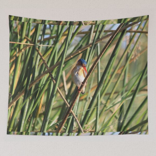Item preview, Bismarck kingfisher in the reeds designed and sold by EstelleRossetti.