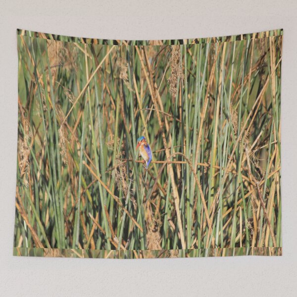 Item preview, Bismarck kingfisher in the reeds designed and sold by EstelleRossetti.
