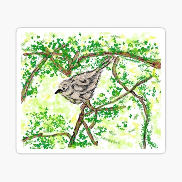 accenteur mouchet, oiseau Sticker