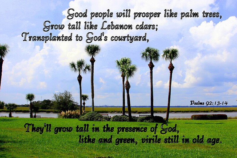 psalms-92-13-14-posters-by-paula-tohline-calhoun-redbubble