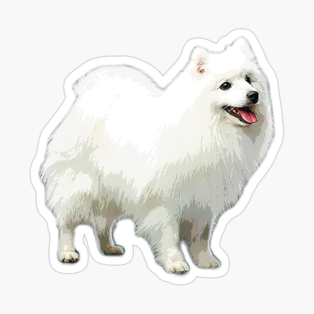 Japanese Spitz Puppy Dog Poster By Elegantcat Redbubble