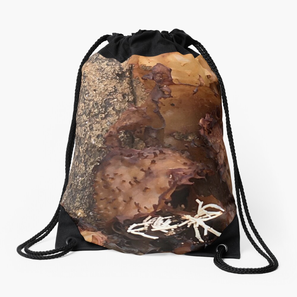 amber worlds  Drawstring Bag