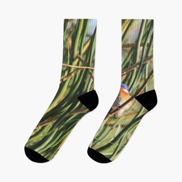 Item preview, Bismarck kingfisher in the reeds designed and sold by EstelleRossetti.
