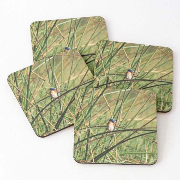 Item preview, Bismarck kingfisher in the reeds designed and sold by EstelleRossetti.