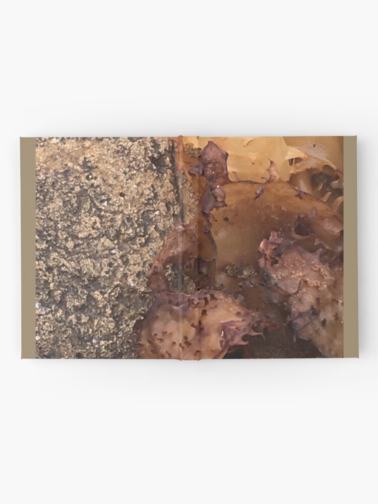 Alternate view of amber worlds Hardcover Journal
