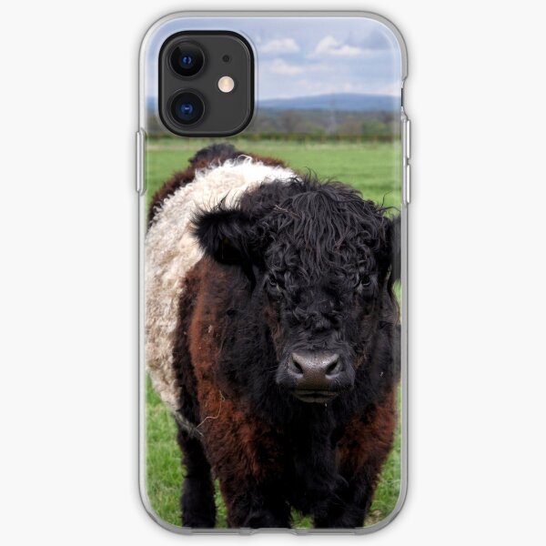 Belted Galloway iPhone Soft Case