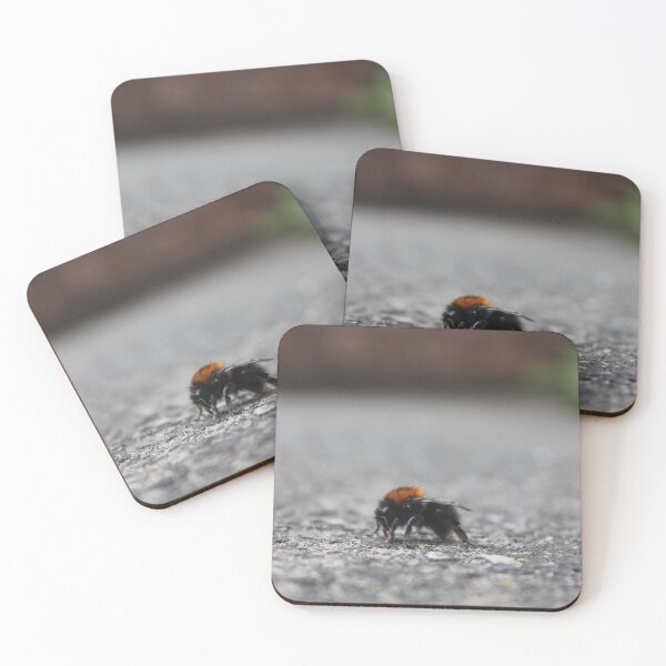 Item preview, Bee Photograph Macro Close Up designed and sold by mwcannon.