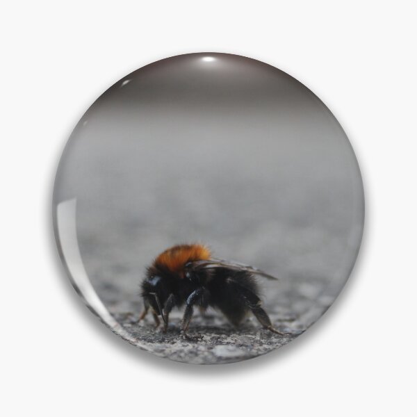 Item preview, Bee Photograph Macro Close Up designed and sold by mwcannon.