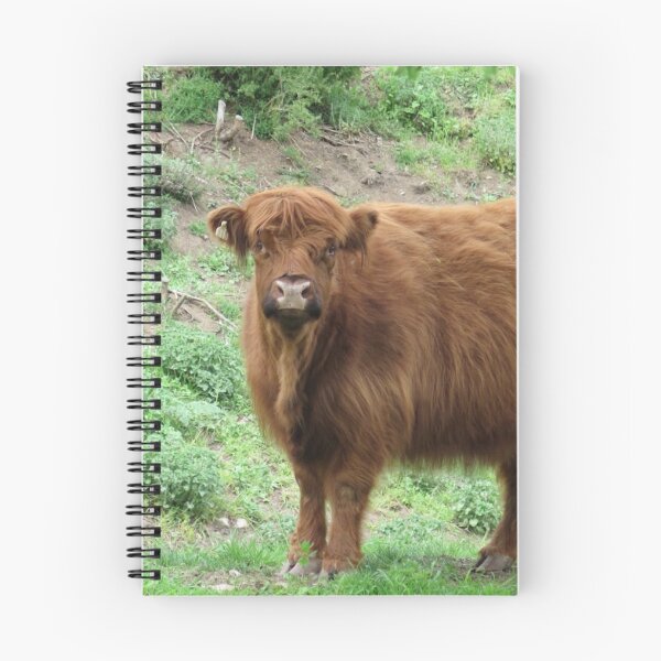 Item preview, Highland Cow designed and sold by WildPenDesign.