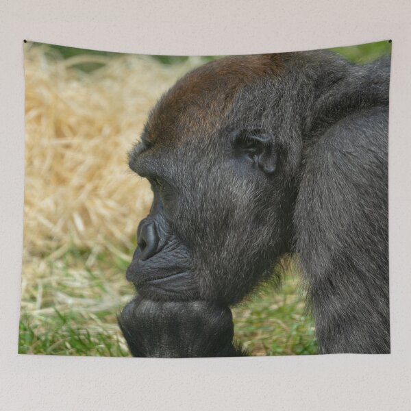 Item preview, Gorilla Lope Resting His Head designed and sold by rawshutterbug.