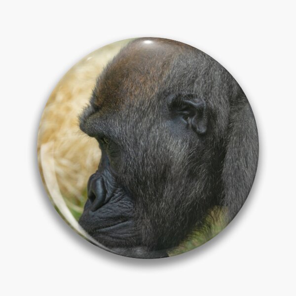 Item preview, Gorilla Lope Resting His Head designed and sold by rawshutterbug.