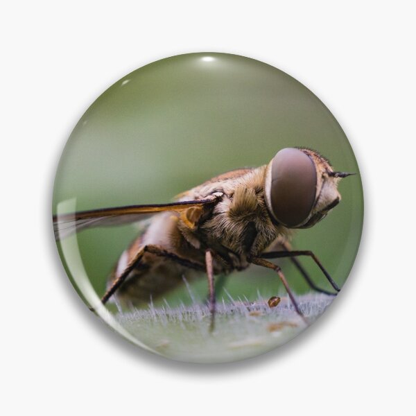Item preview, Flie designed and sold by william672.