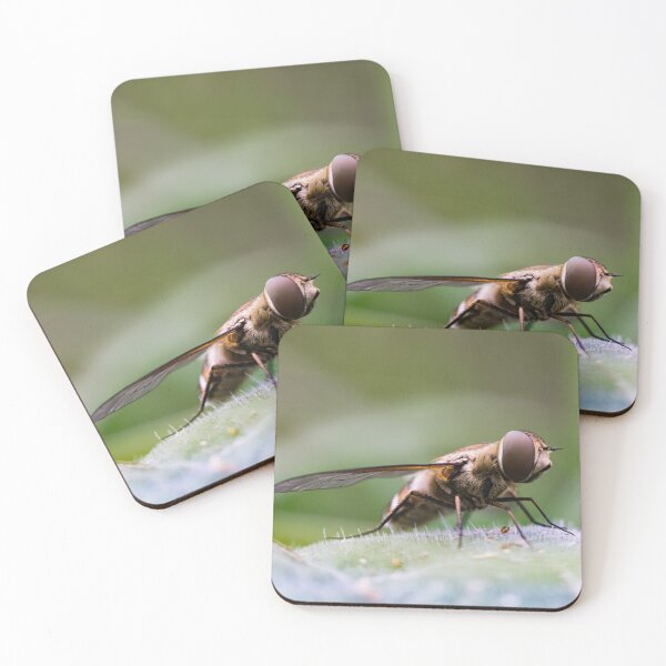 Item preview, Flie designed and sold by william672.