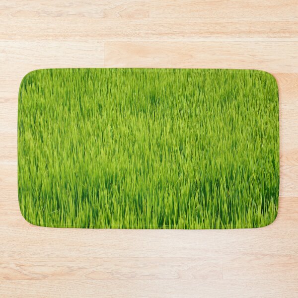 Item preview, Dreamy Rice Field 3 - Nature designed and sold by joejiing.