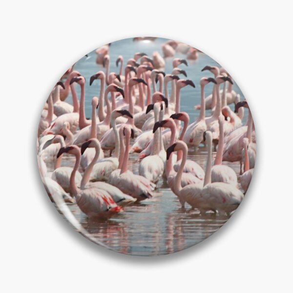Item preview, Flamingos and Flamingos..... designed and sold by Carole-Anne.