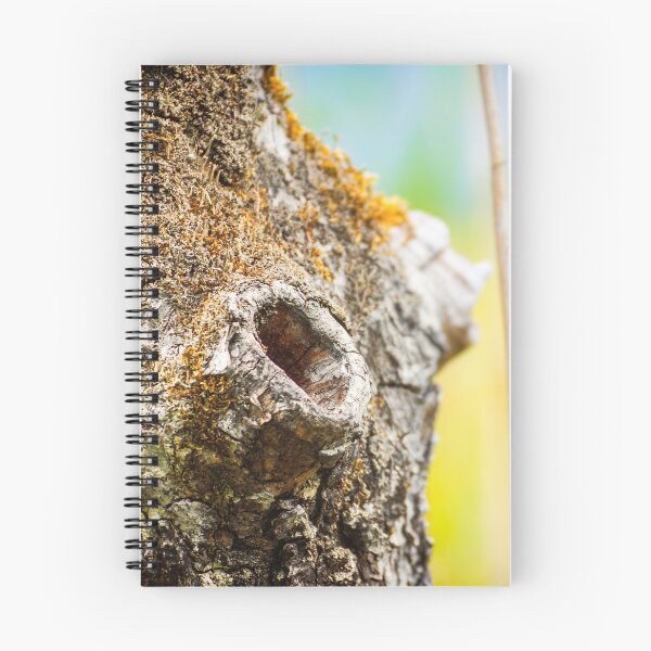 Item preview, Beautiful hole from branch hollow focus on tree trunk bark designed and sold by Grégory DUBUS.